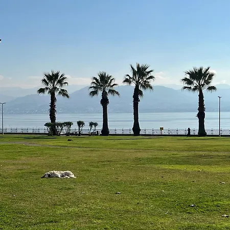 Entire Luxury By The Sea